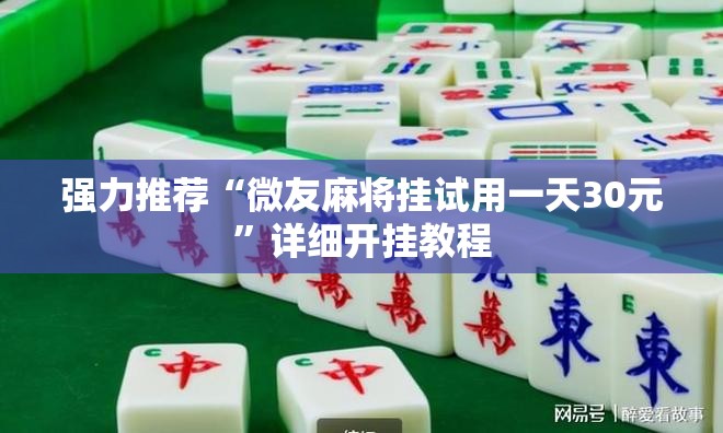 强力推荐“微友麻将挂试用一天30元”详细开挂教程