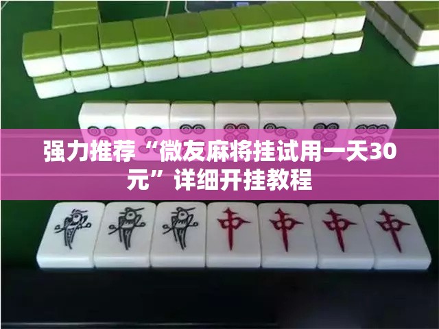 强力推荐“微友麻将挂试用一天30元”详细开挂教程