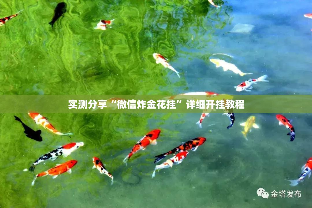 实测分享“微信炸金花挂”详细开挂教程