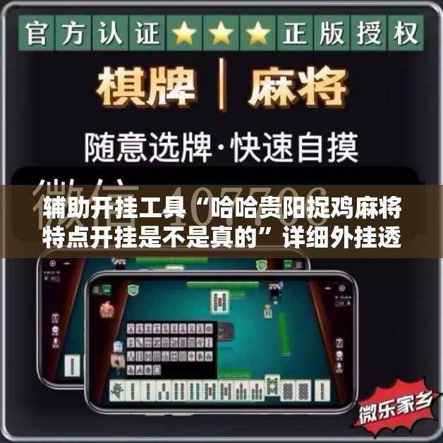 辅助开挂工具“哈哈贵阳捉鸡麻将特点开挂是不是真的”详细外挂透视辅助软件教程