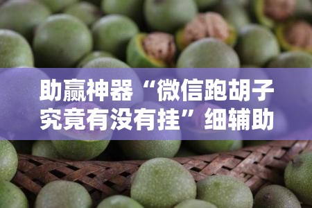 助赢神器“微信跑胡子究竟有没有挂”细辅助教程分享