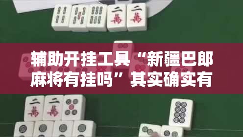 辅助开挂工具“新疆巴郎麻将有挂吗”其实确实有挂