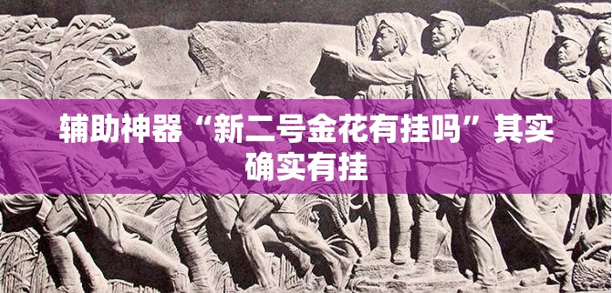 辅助神器“新二号金花有挂吗”其实确实有挂