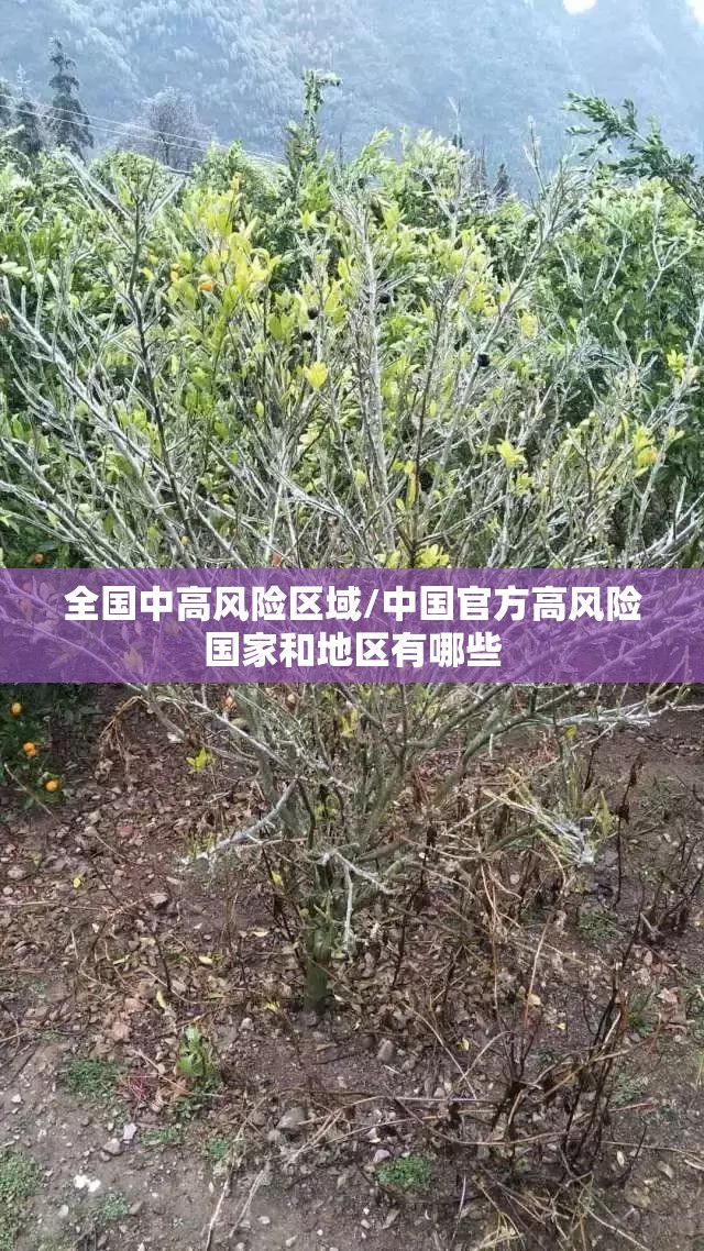 全国中高风险区域/中国官方高风险国家和地区有哪些