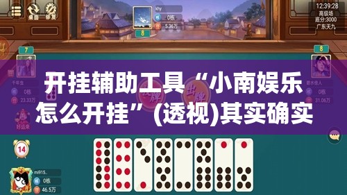 开挂辅助工具“小南娱乐怎么开挂”(透视)其实确实有挂