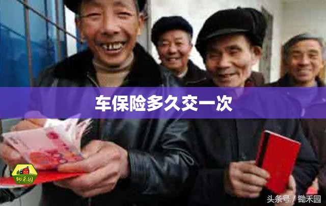 车保险多久交一次/车保险几年交一次