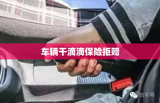 车辆干滴滴保险拒赔（跑滴滴撞车保险拒赔滴滴管不管）