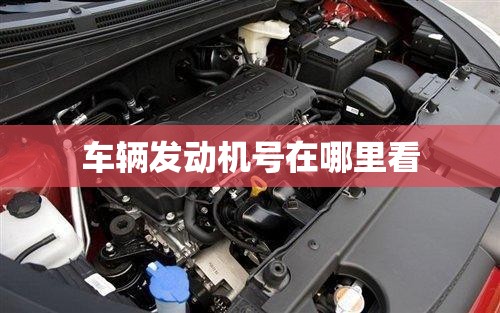 车辆发动机号在哪里看（汽车发动机号码在那看）