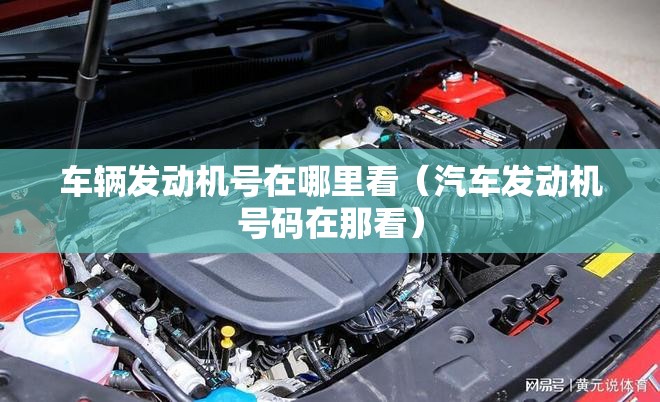 车辆发动机号在哪里看（汽车发动机号码在那看）