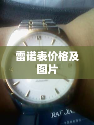 雷诺表费用及图片/雷诺表费用及图片型号是860083吗
