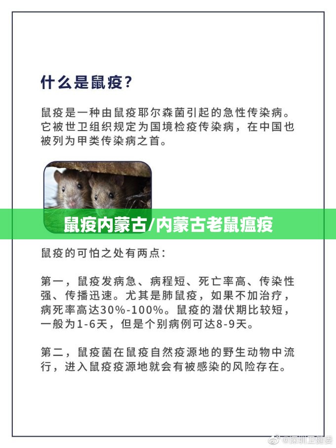鼠疫内蒙古/内蒙古老鼠瘟疫