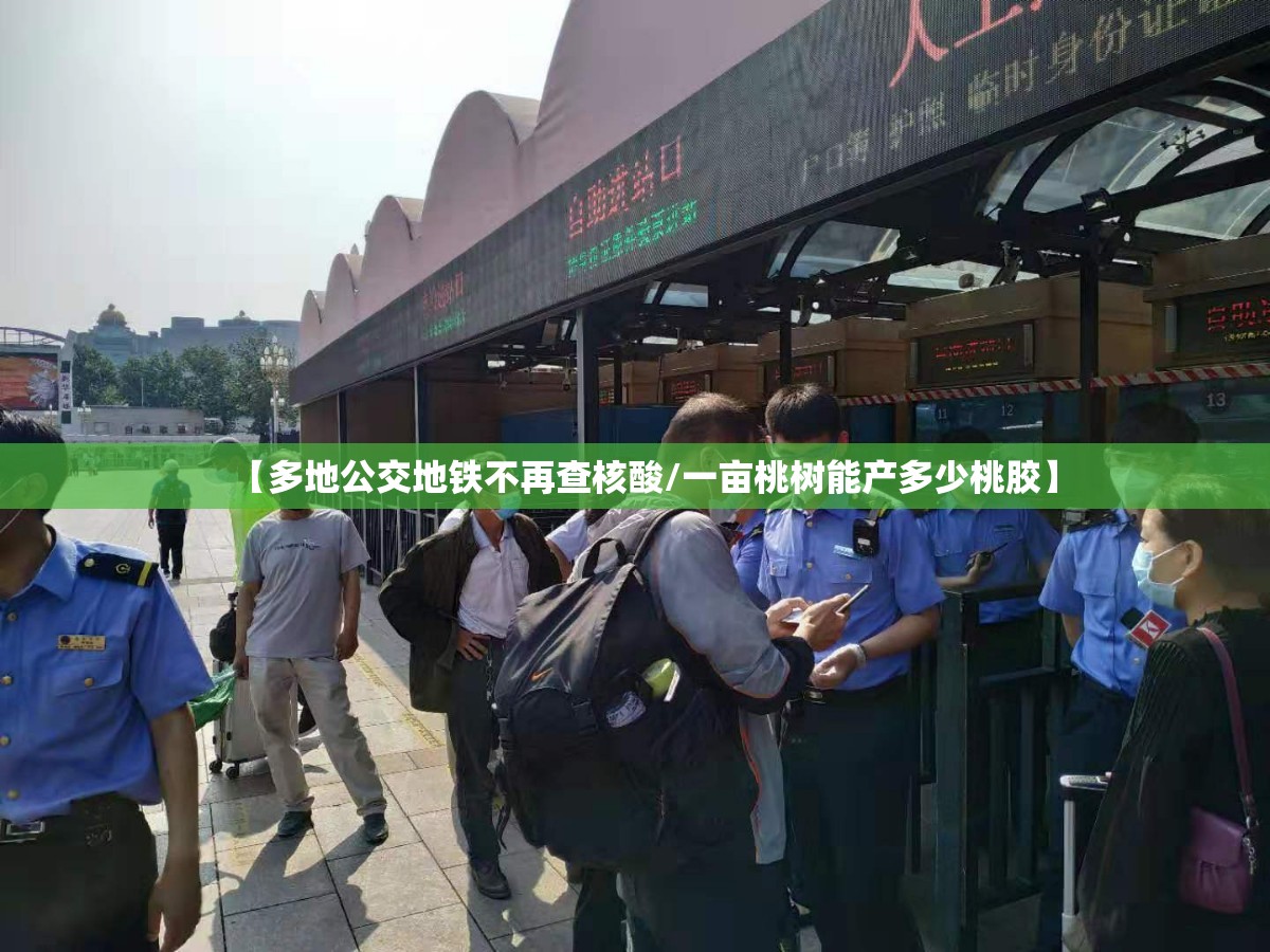 【多地公交地铁不再查核酸/一亩桃树能产多少桃胶】