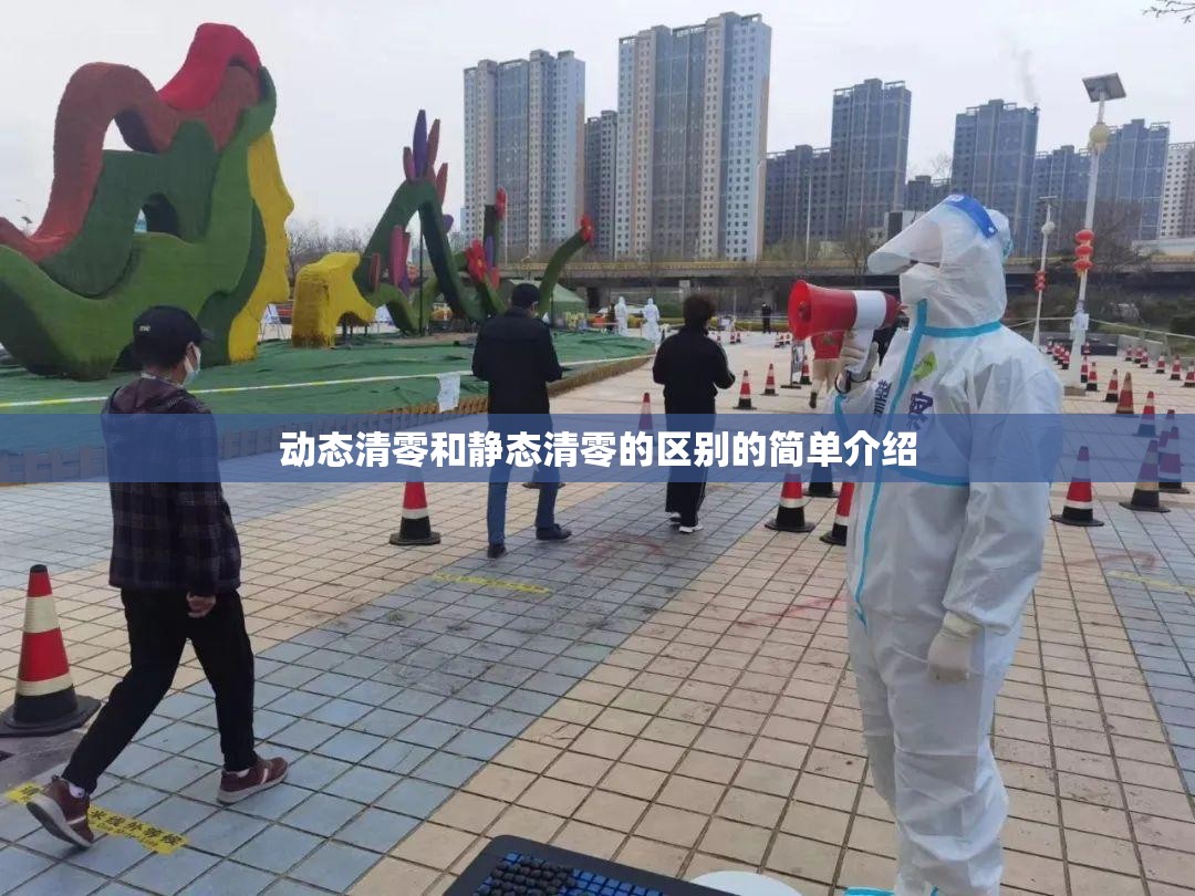 动态清零和静态清零的区别的简单介绍