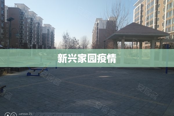 新兴家园疫情/新兴家园西区