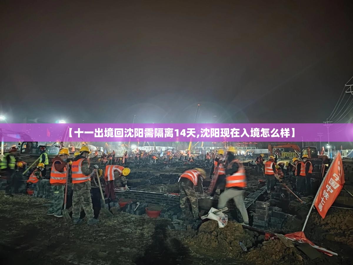 【十一出境回沈阳需隔离14天,沈阳现在入境怎么样】