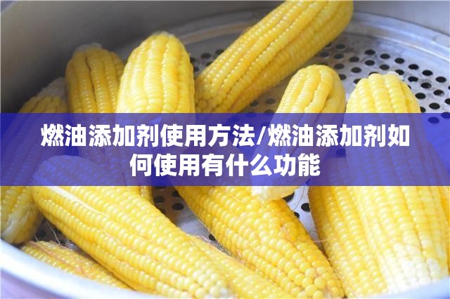 燃油添加剂使用方法/燃油添加剂如何使用有什么功能