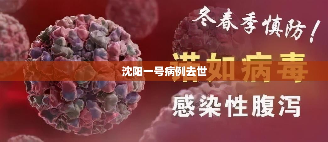 【沈阳一号病例去世/沈阳感染】 【沈阳一号病例去世/沈阳感染】