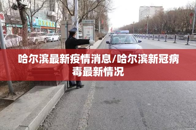 哈尔滨最新疫情消息/哈尔滨新冠病毒最新情况