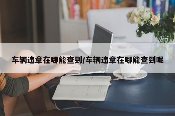车辆违章在哪能查到/车辆违章在哪能查到呢
