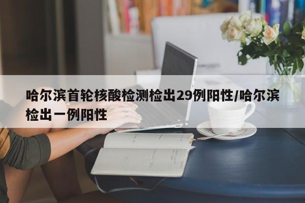 哈尔滨首轮核酸检测检出29例阳性/哈尔滨检出一例阳性