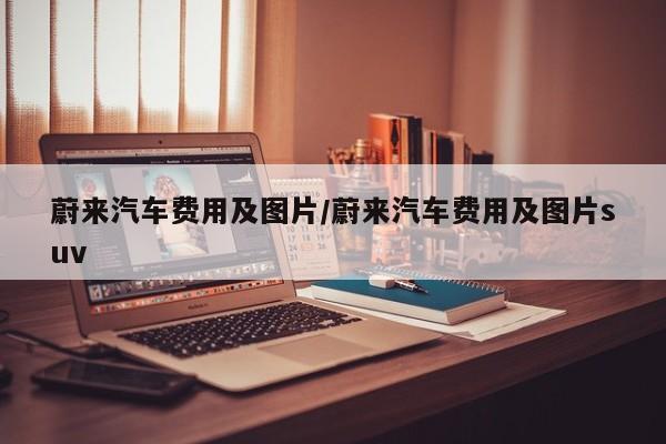 蔚来汽车费用及图片/蔚来汽车费用及图片suv