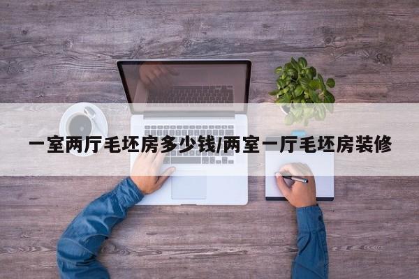一室两厅毛坯房多少钱/两室一厅毛坯房装修