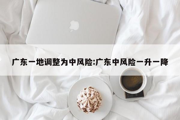 广东一地调整为中风险:广东中风险一升一降