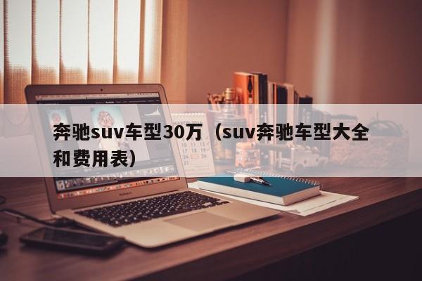 奔驰suv车型30万(suv奔驰车型大全和费用表)