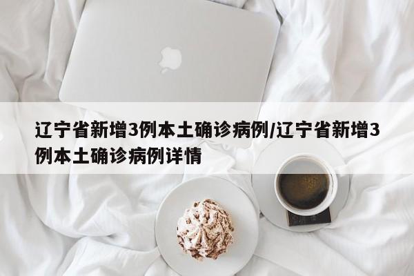 辽宁省新增3例本土确诊病例/辽宁省新增3例本土确诊病例详情