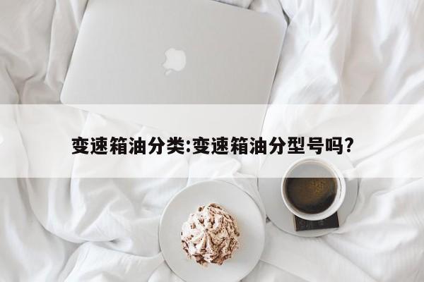 变速箱油分类:变速箱油分型号吗?