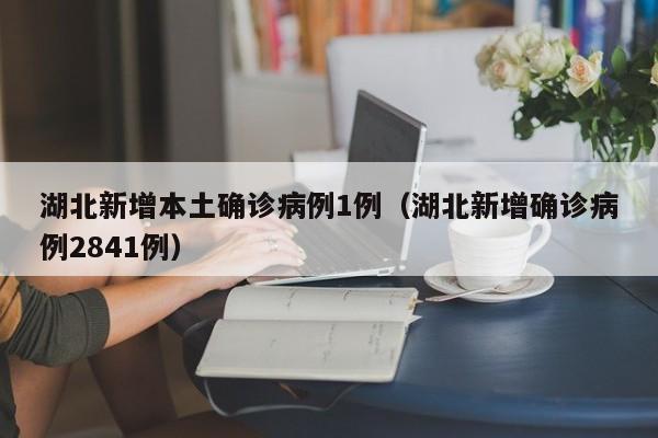 湖北新增本土确诊病例1例(湖北新增确诊病例2841例)