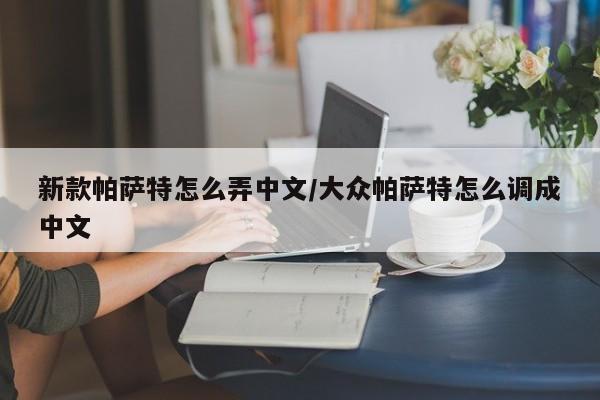 新款帕萨特怎么弄中文/大众帕萨特怎么调成中文