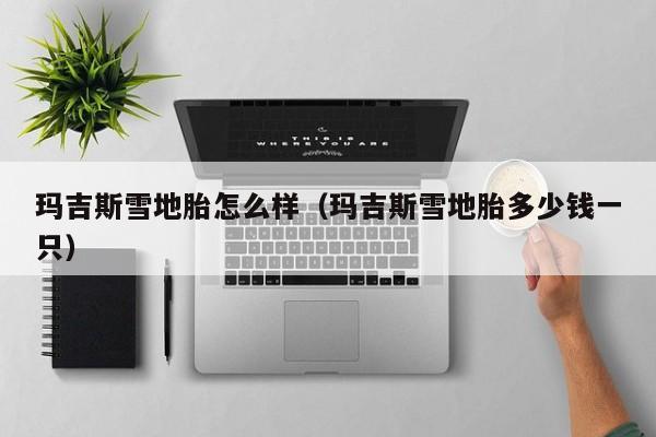 玛吉斯雪地胎怎么样(玛吉斯雪地胎多少钱一只)