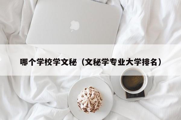 哪个学校学文秘(文秘学专业大学排名)